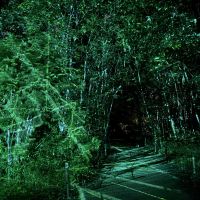 評論圖片 1