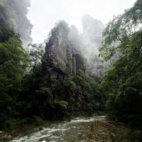 評論圖片 3