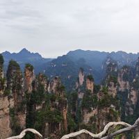 評論圖片 1
