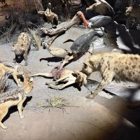 評論圖片 1