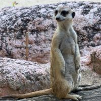 評論圖片 7