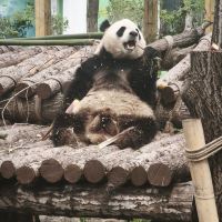 評論圖片 6