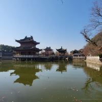 評論圖片 7