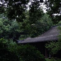 評論圖片 5