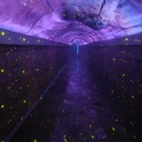 評論圖片 1