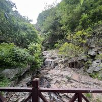 評論圖片 6