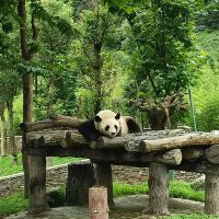 評論圖片 6