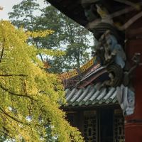 評論圖片 1