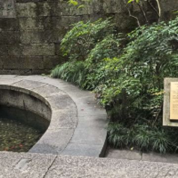 評論圖片 5