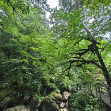 評論圖片 6