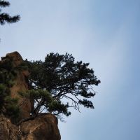 評論圖片 4