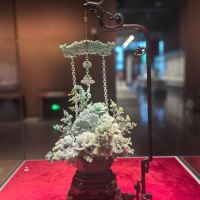 評論圖片 5