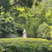 評論圖片 1