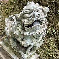 評論圖片 7