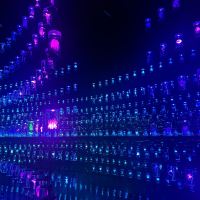 評論圖片 3