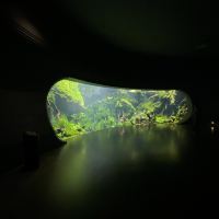 評論圖片 4