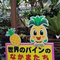 評論圖片 1