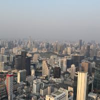 評論圖片 7