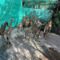 評論圖片 6