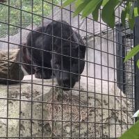 評論圖片 7