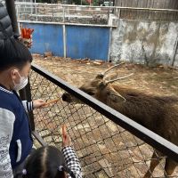 評論圖片 5