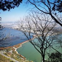 評論圖片 1