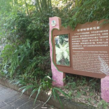 評論圖片 3