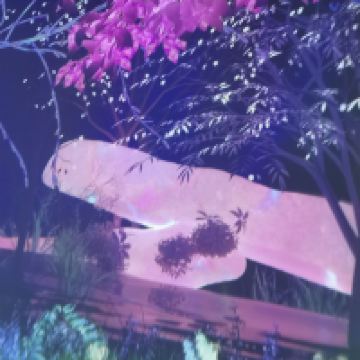 評論圖片 6