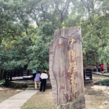 評論圖片 6
