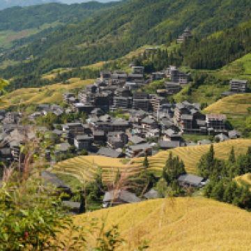 評論圖片 4