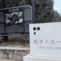評論圖片 5