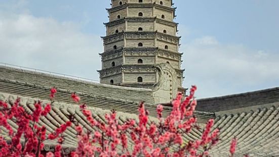 今天去西安西線一日游，参觀了法門寺，看到了最宏偉的寺廟，也吃