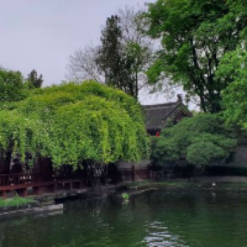評論圖片 6