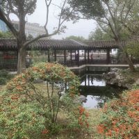 評論圖片 8