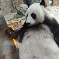 評論圖片 1