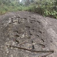 評論圖片 3