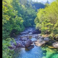 評論圖片 1