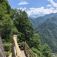 評論圖片 1
