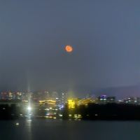 評論圖片 1