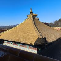 評論圖片 7