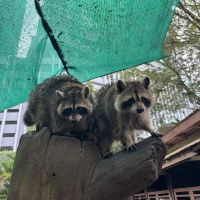 評論圖片 3