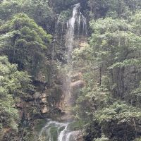 評論圖片 5