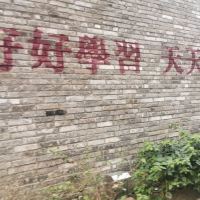 評論圖片 3