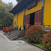 評論圖片 8