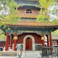評論圖片 3