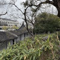 評論圖片 2