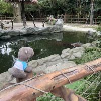 評論圖片 6