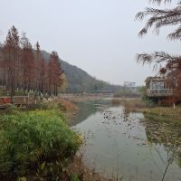 評論圖片 9
