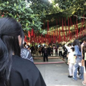 評論圖片 6