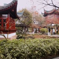 評論圖片 6